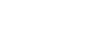Estela Nativa Logo